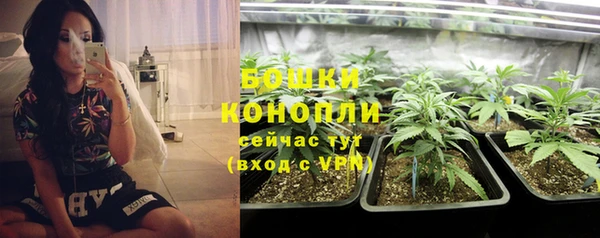 spice Верея