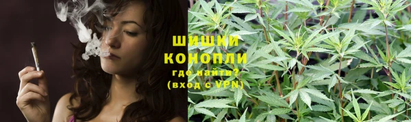 гашик Володарск