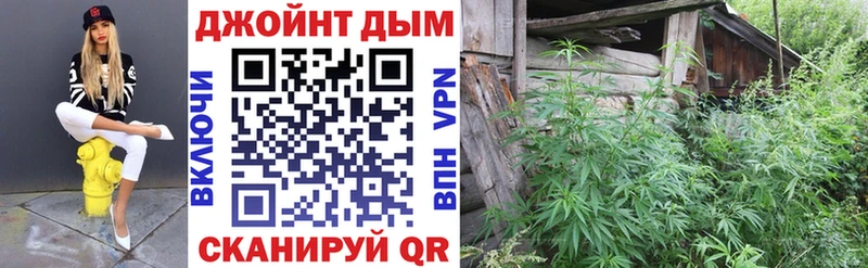 где купить наркоту  Гагарин  Бошки марихуана SATIVA & INDICA 